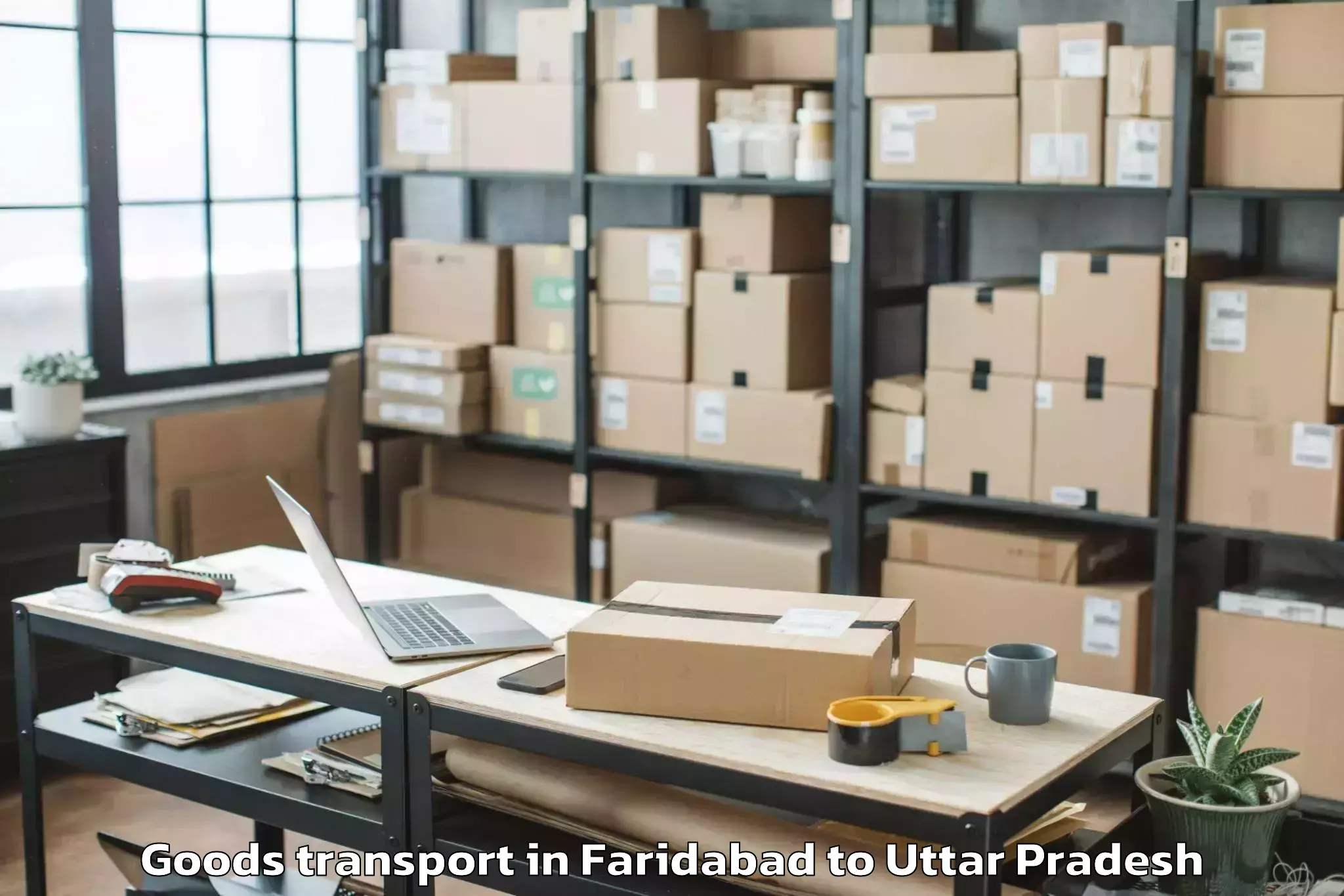 Top Faridabad to Beniganj Goods Transport Available